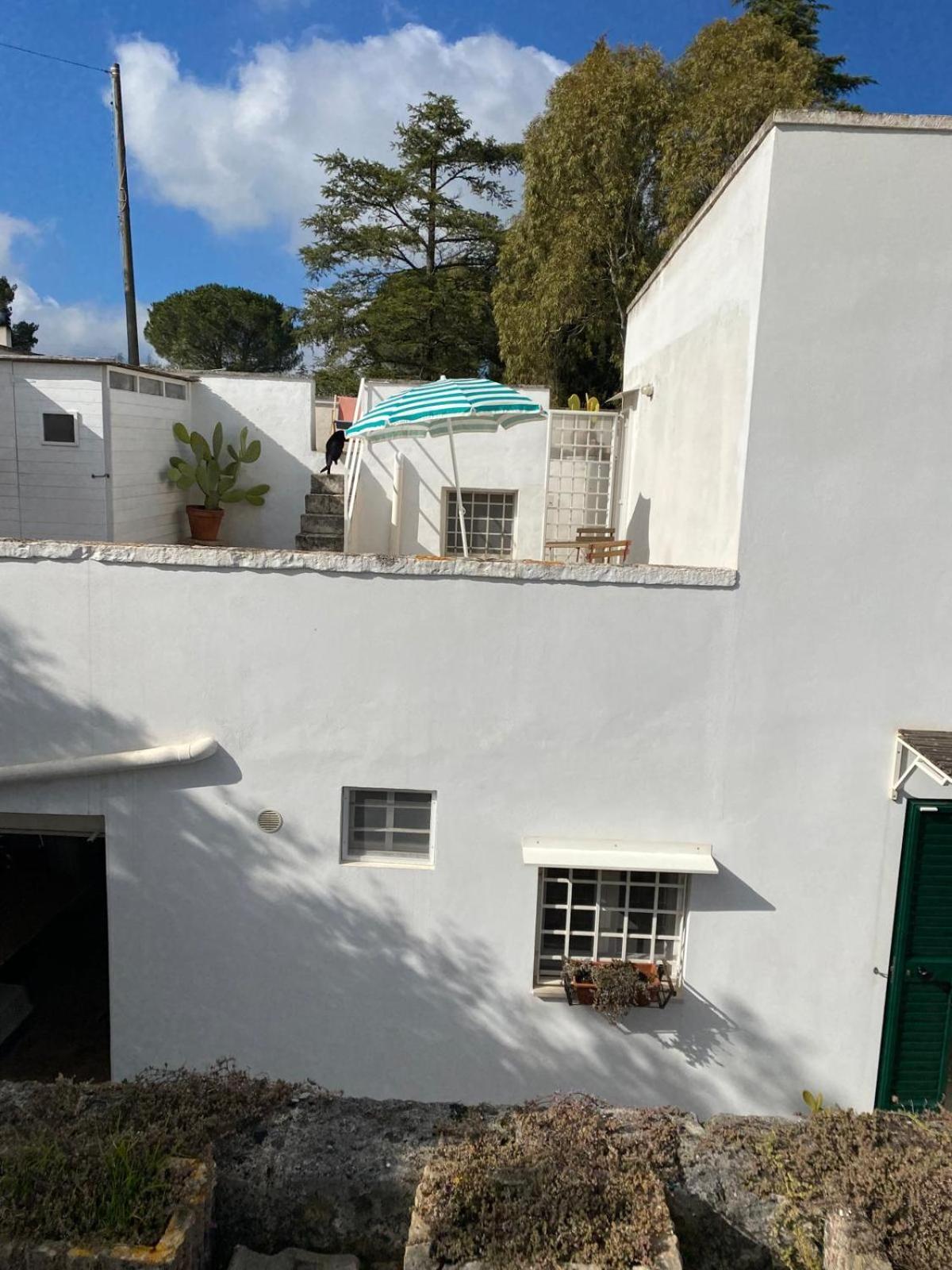 Casa Gianre Guest House Monopoli Bagian luar foto